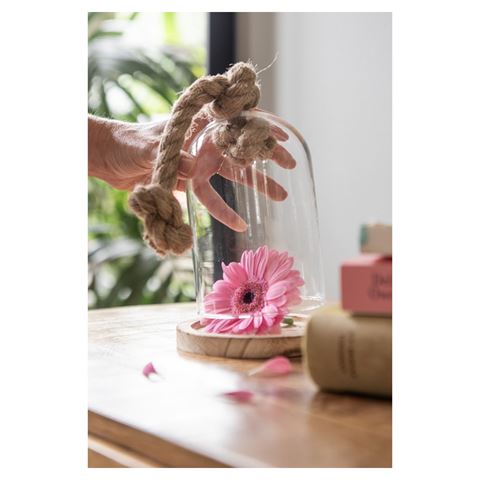 Clayre Eef Cloche 6GL2222 Transparent 17x29 cm — 3