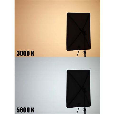 Falcon Eyes Softbox + Grille Nid d'Abeilles RX-18SBHC III pour LED RX-18TDX III — 6