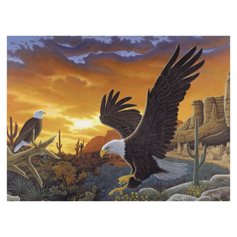 R&L Adult Large A3 Peinture par numéros - Sky Messenger