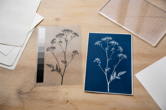 Créer un négatif numérique pour cyanotype : contraste, film et réglages d’impression