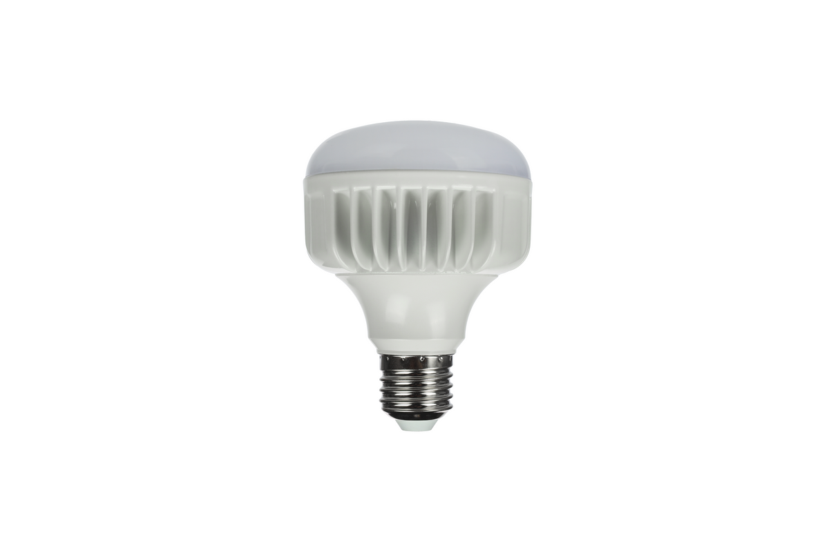 StudioKing Lampe LED Lumière du Jour 25W E27 FLED-25