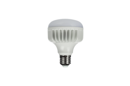 StudioKing Lampe LED Lumière du Jour 25W E27 FLED-25