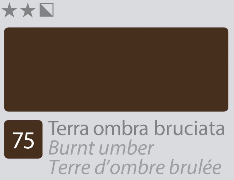Divolo Accademia Peinture à l'huile 20 ml - Burnt Umber
