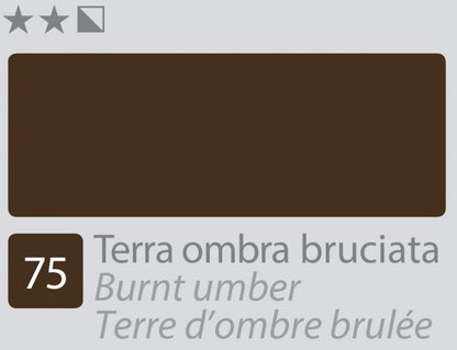 Divolo Accademia Peinture à l'huile 20 ml - Burnt Umber