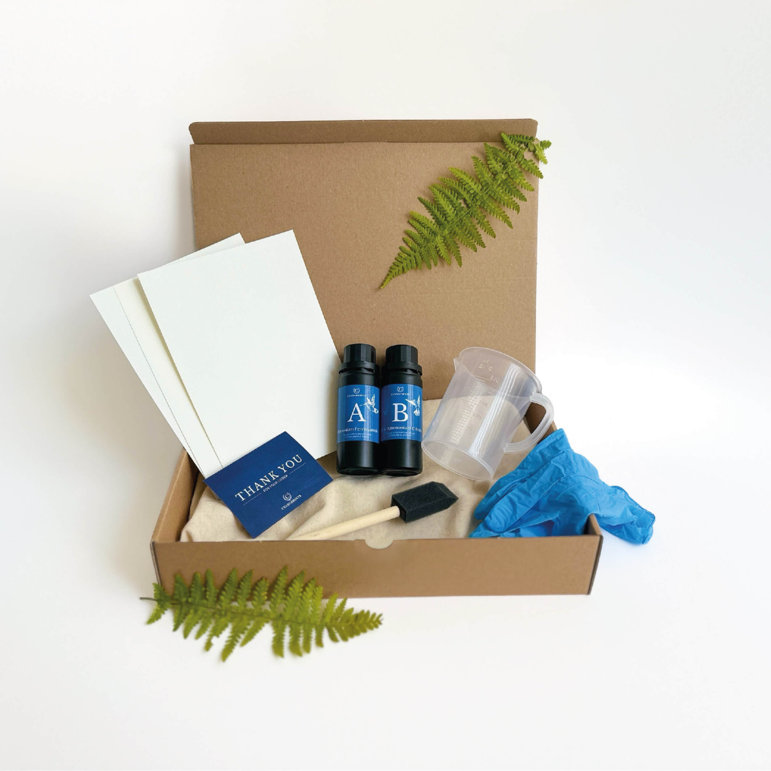 Cyanotype Kit Basic – Complete starterset voor botanische blauwdrukken en creatieve UV-prints