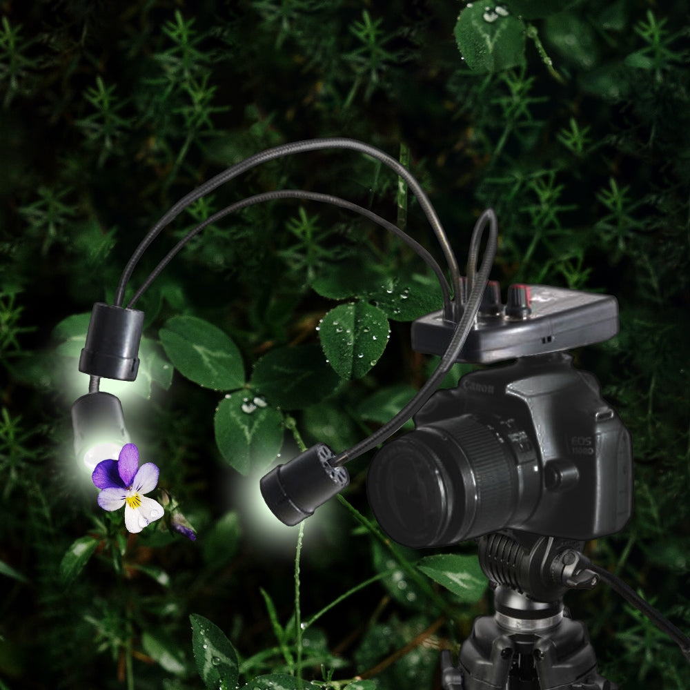 Falcon Eyes Lampe Macro LED DV-3B sur Batterie — 4