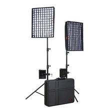 Falcon Eyes Kit Panneau LED Bi-Color RX-18TDX III-K2