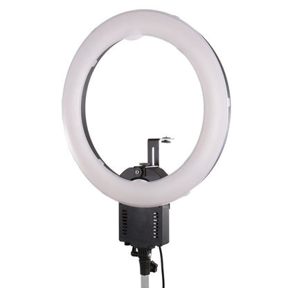 Falcon Eyes Lampe Circulaire FLC-65 65W + TMB-20Z