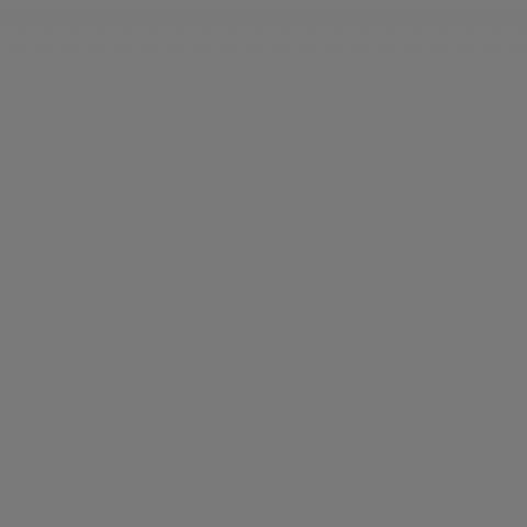Falcon Eyes Toile de Fond S010 2,9x7 m Gris