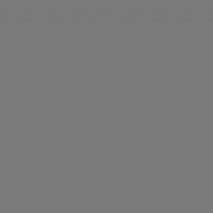 Falcon Eyes Toile de Fond S010 2,9x7 m Gris