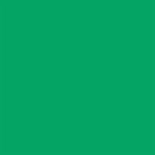 Falcon Eyes Papier de fond 46 Chroma Green 2,18 x 11 m