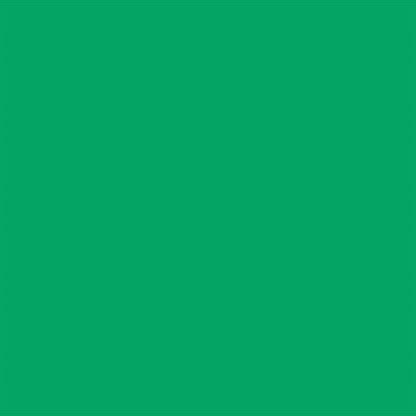 Falcon Eyes Papier de fond 46 Chroma Green 2,18 x 11 m