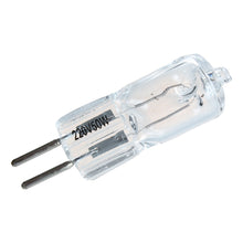 Falcon Eyes Lampe de modélisation halogène ML-50/G6.35 pour flashes série SS 50W