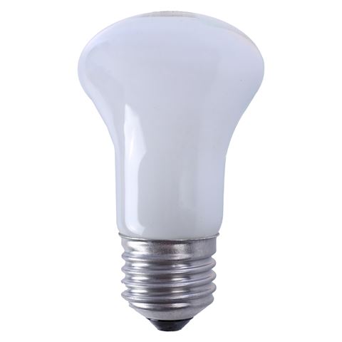Falcon Eyes Lampe de réglage halogène ML-60 60W culot E27