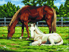 R&L Artist Canvas A3 Peinture par numéros - Horses in Field