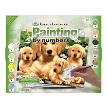 R&L Junior Large A3 Peinture par numéros - Golden Retriever & Puppies