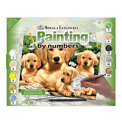 R&L Junior Large A3 Peinture par numéros - Golden Retriever & Puppies