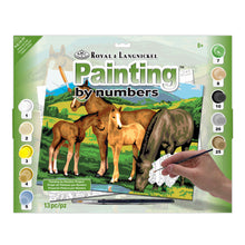 R&L Junior Large A3 Peinture par numéros - Horses & Foals