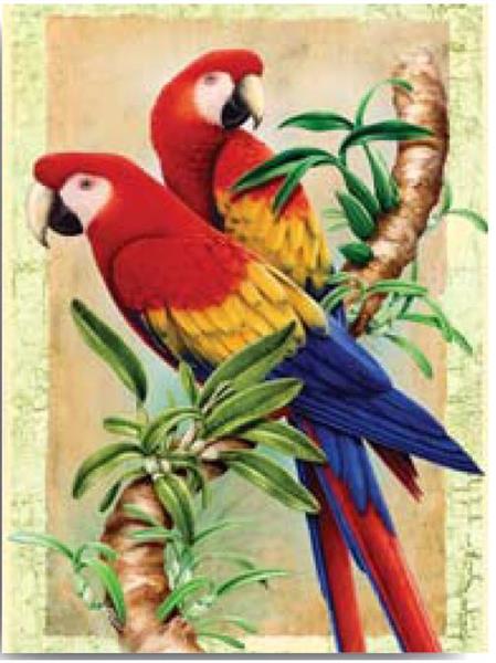 R&L Junior Small A4 Peinture par numéros - Bamboo Parrots