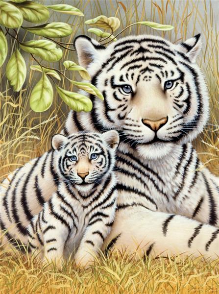 R&L Junior Small A4 Peinture par numéros - White Tiger Pair
