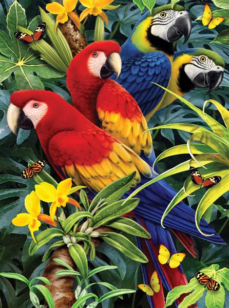 R&L Junior Small A4 Peinture par numéros - Majestic Macaws