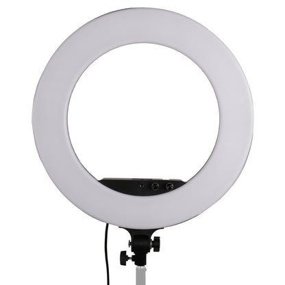 StudioKing Kit Anneau LED LED-480ASK sur 230V — 2