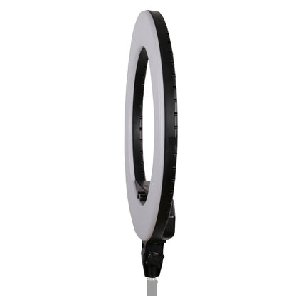 StudioKing Kit Anneau LED LED-480ASK sur 230V — 7