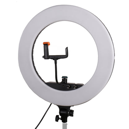 StudioKing Kit Anneau LED LED-480ASK sur 230V — 8