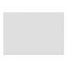 StudioKing Plateau pour Table de Prise de Vue FST-10200W — 2