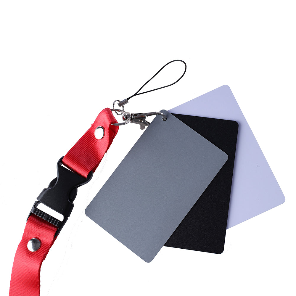 StudioKing Carte Grise Numérique SKGC-31S — 2