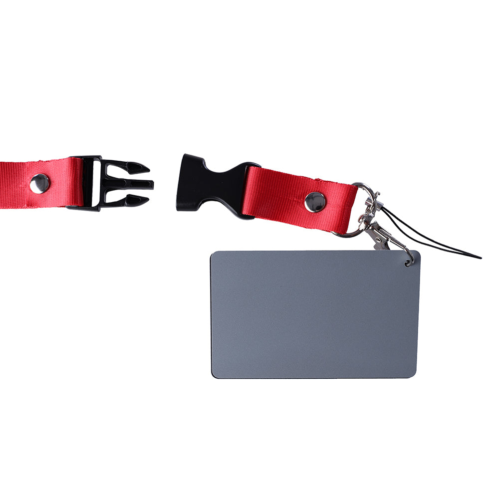 StudioKing Carte Grise Numérique SKGC-31S — 3
