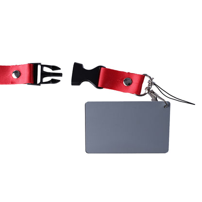 StudioKing Carte Grise Numérique SKGC-31S — 3
