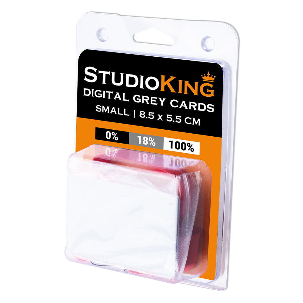 StudioKing Carte Grise Numérique SKGC-31S — 7