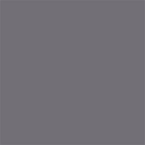 Superior Papier de Fond 04 Gris Neutre 1,35 x 11m — 2