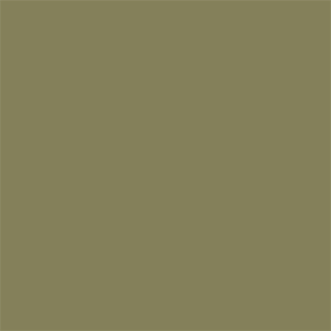 Superior Papier de Fond 10 Leaf 1,35 x 11m — 2