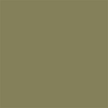 Superior Papier de Fond 10 Leaf 1,35 x 11m — 2