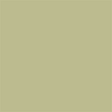Superior Papier de Fond 13 Tropical Green 1,35 x 11m — 2