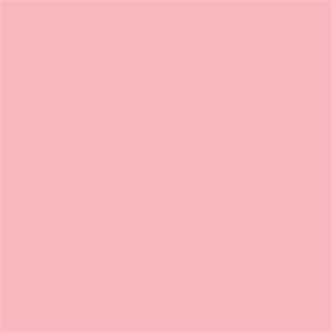 Superior Papier de Fond 17 Carnation Pink 1,35 x 11m — 2
