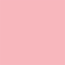 Superior Papier de Fond 17 Carnation Pink 1,35 x 11m — 2