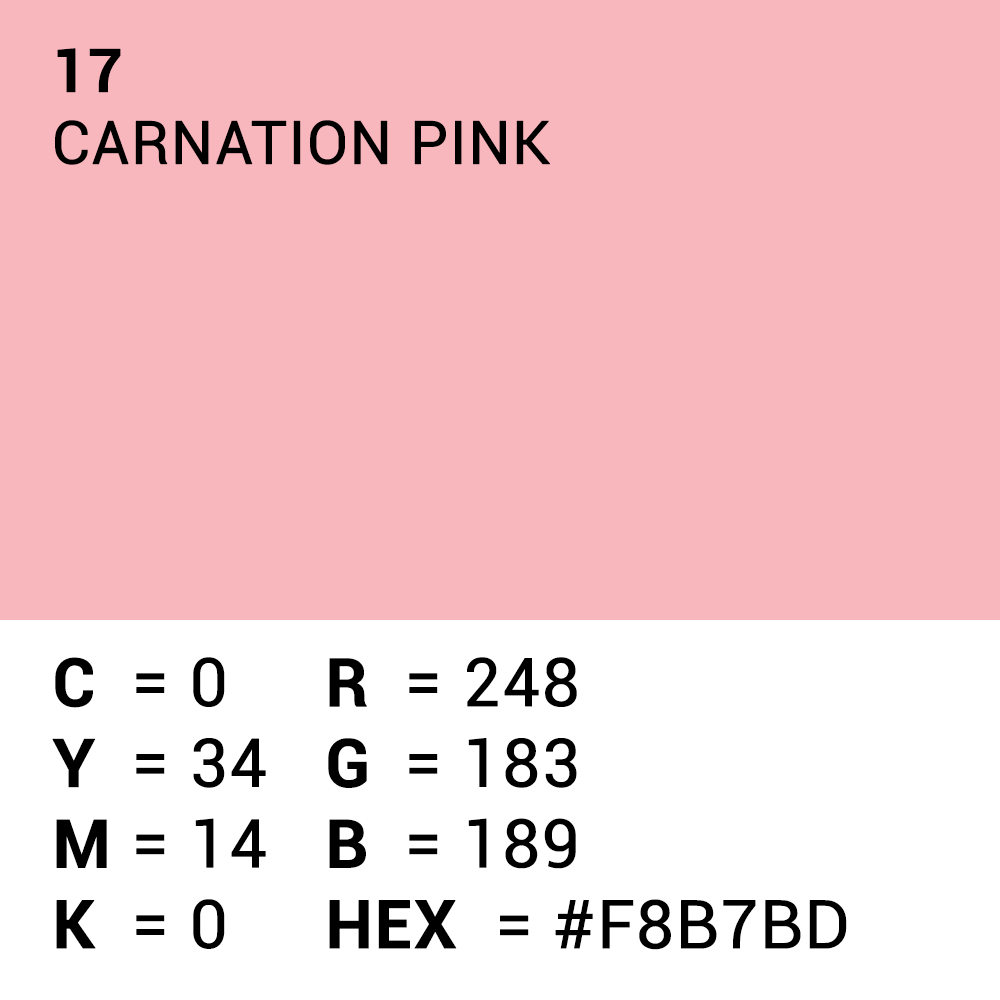 Superior Papier de Fond 17 Carnation Pink 1,35 x 11m — 5