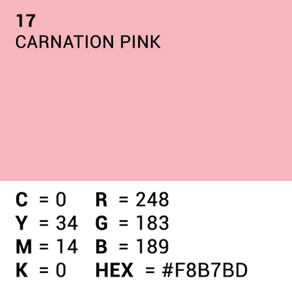 Superior Papier de Fond 17 Carnation Pink 1,35 x 11m — 5