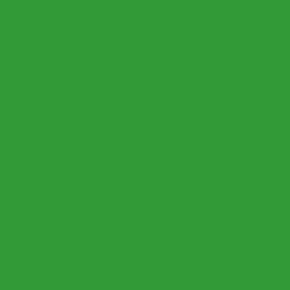 Superior Papier de Fond 54 Stinger Chroma Key 1,35 x 11m — 2