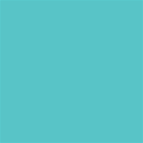 Superior Papier de Fond 55 Alpine 1,35 x 11m — 2