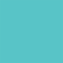 Superior Papier de Fond 55 Alpine 1,35 x 11m — 2