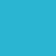 Superior Papier de Fond 60 Wedgewood 1,35 x 11m — 2