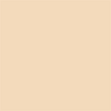 Superior Papier de Fond 64 Fawn 1,35 x 11m — 2
