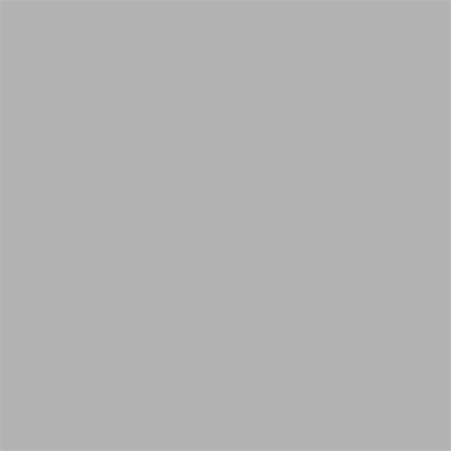 Superior Papier de Fond 72 Fossil Gray 1,35 x 11m — 2