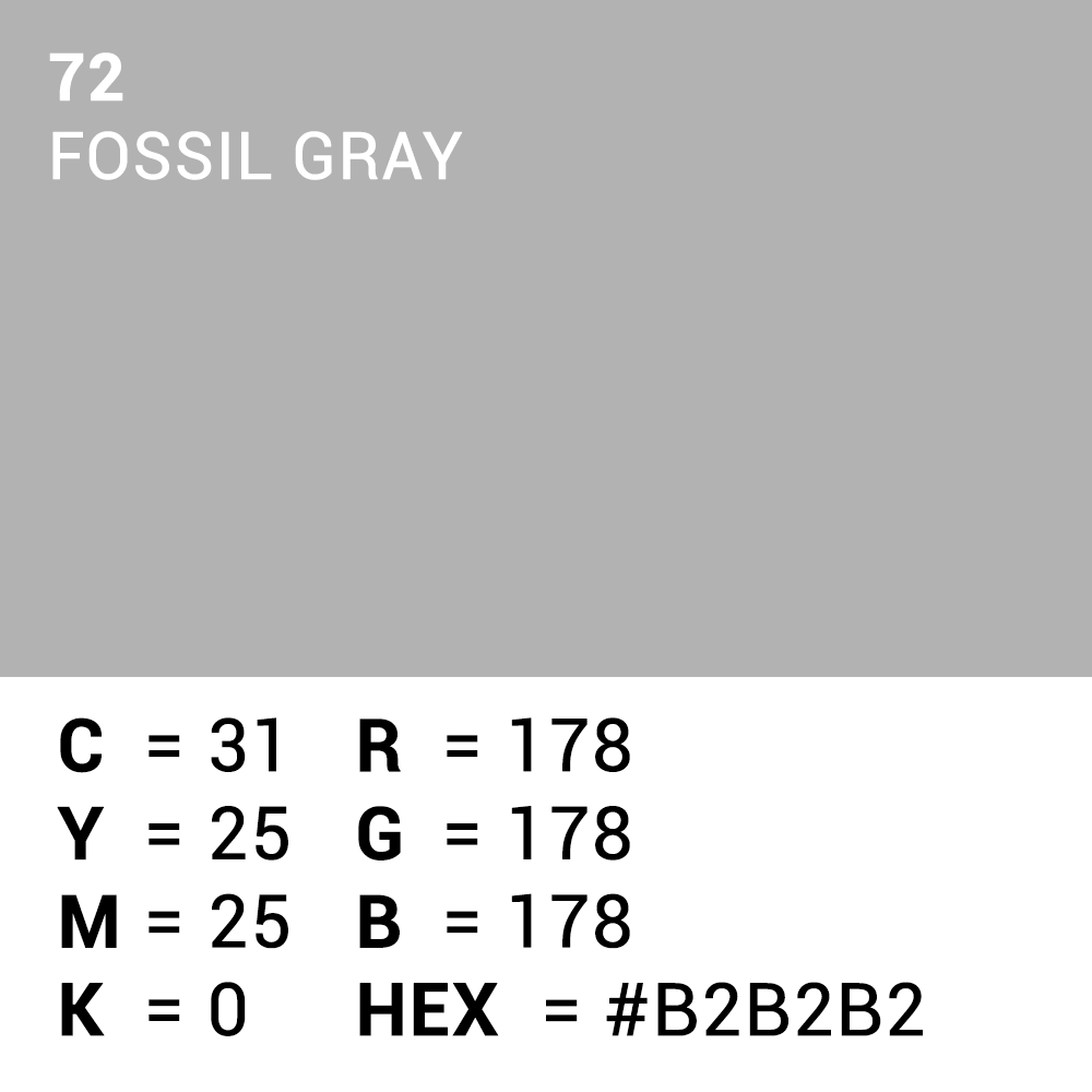 Superior Papier de Fond 72 Fossil Gray 1,35 x 11m — 5