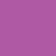 Superior Papier de Fond 76 Grape 1,35 x 11m — 2