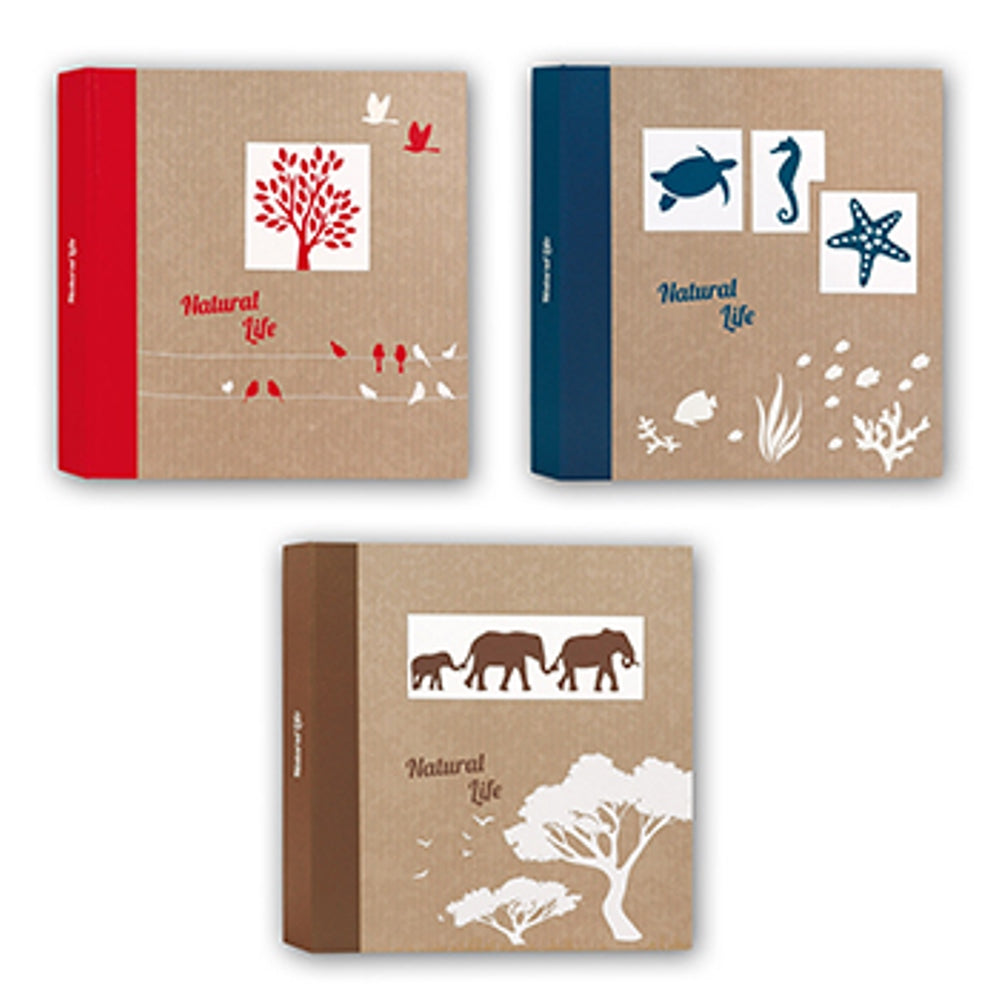 Zep NF293150 Album Pergamin 50 feuilles 29x31 cm 6 pièces